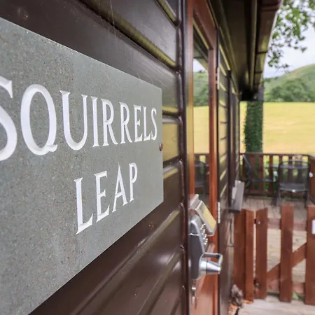 Squirrels Leap