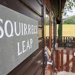 Squirrels Leap